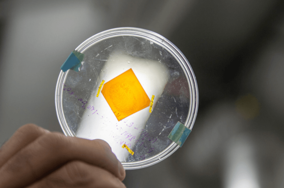 Rewolucja w daktyloskopii. Odciski palców jako hologram, a nie zdjęcie