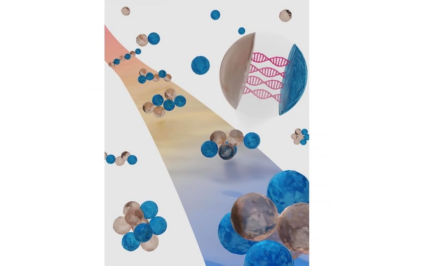 Cząstki same się organizują. Do przełomu wystarczyło naśladowanie natury