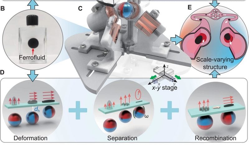 Ten robot może podzielić się na części, a później złączyć w całość. Futurystyczna technologia w akcji