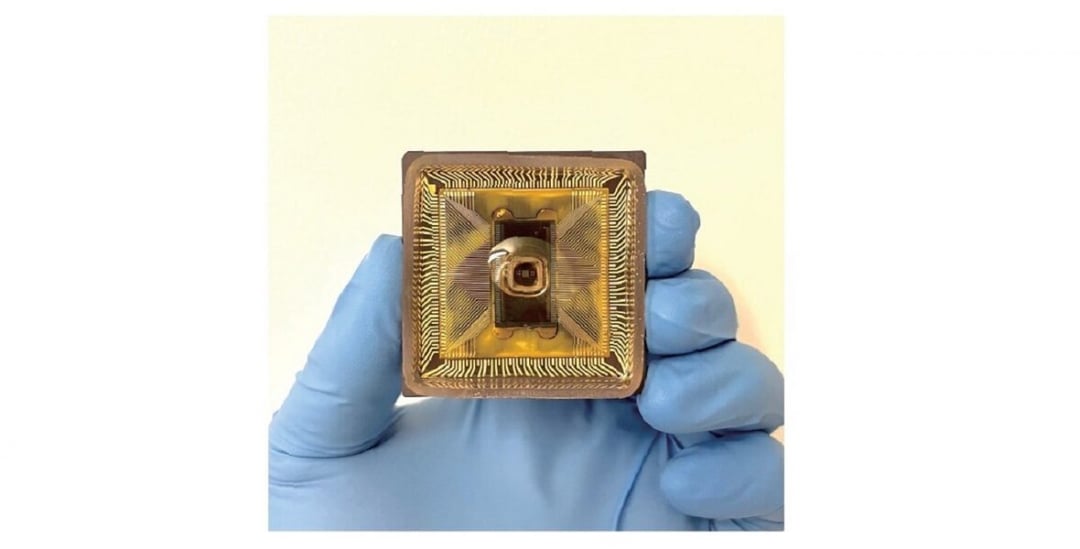 Cyfrowy mózg w wodzie. Naukowcy w ten sposób wykorzystują sieci neuronowe