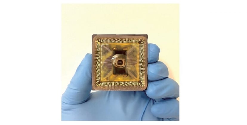 Cyfrowy mózg w wodzie. Naukowcy w ten sposób wykorzystują sieci neuronowe