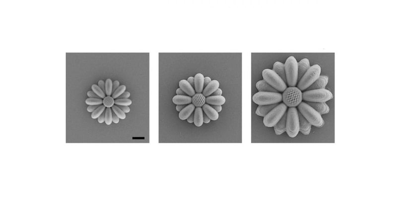 Druk 4D i obiekty, które mogą się przekształcać. Jak działa ta technologia?