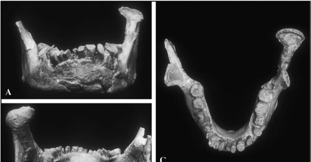 To odkrycie może odmienić postrzeganie historii współczesnych ludzi w Europie