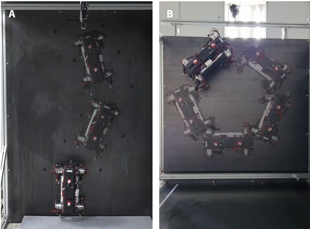 Oto MARVEL. Temu robotowi niestraszne są nawet ściany. Mamy nagranie, na którym widać, jak sobie z nimi radzi