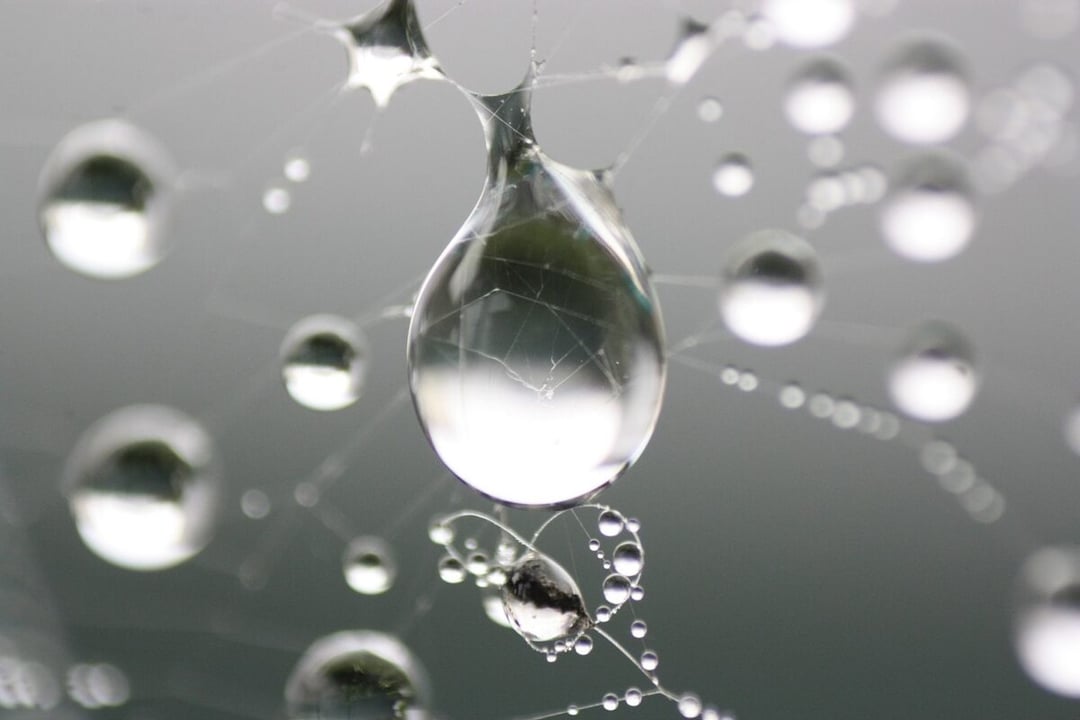 Kropelki oleju płyną pod prąd. Odkryto nowe zjawisko w fizyce płynów