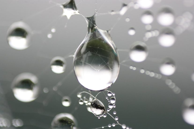 Oświetlenie kropli wody daje niesamowity efekt. Prosty zabieg może zapewnić rewolucję