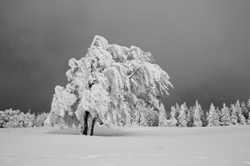 Zamiast szkodliwych substancji – nowy sposób chłodzenia. Ucieszą się nie tylko ekolodzy