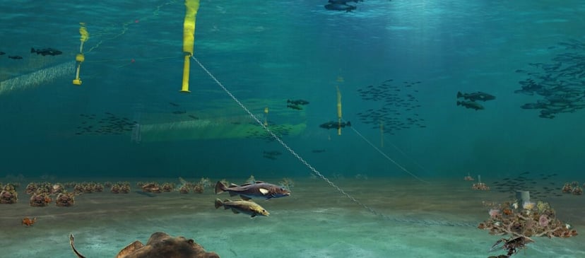 Truciciel rusza do walki ze zmianami klimatu. Amazon wykorzysta nietypową technologię