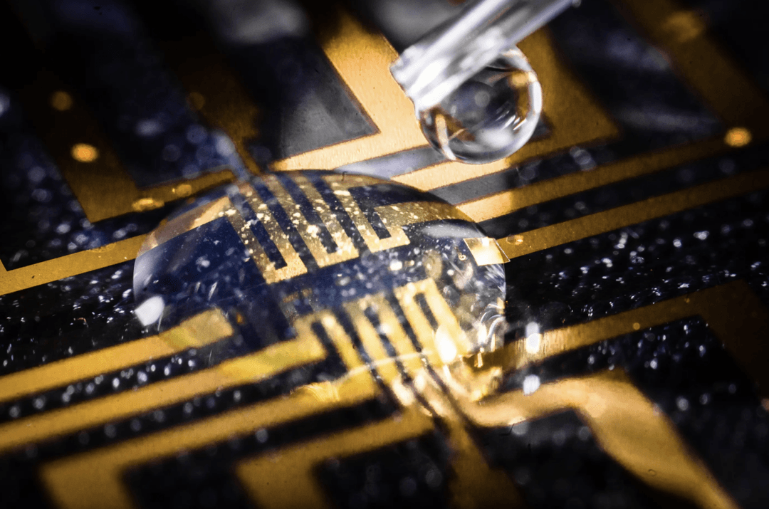 Nasz PESEL i adres w rękach NASK. Po co im nasze dane?