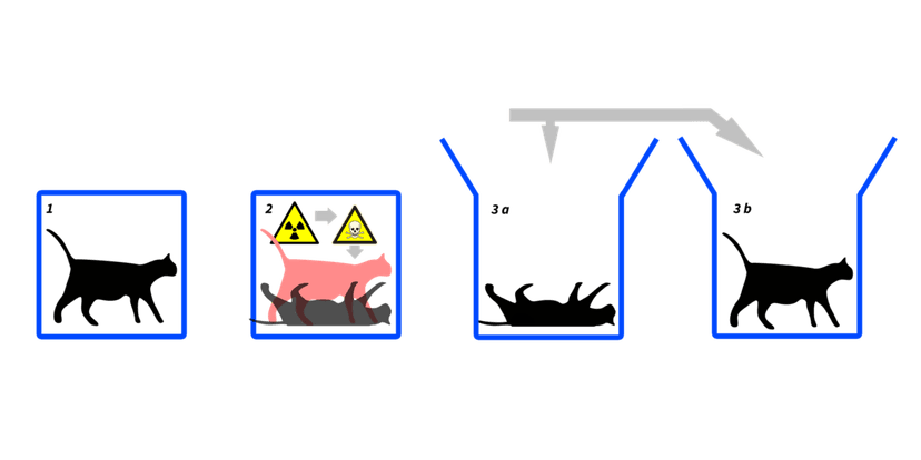 Powstał najcięższy kot Schrödingera. Jak udało się tego dokonać?