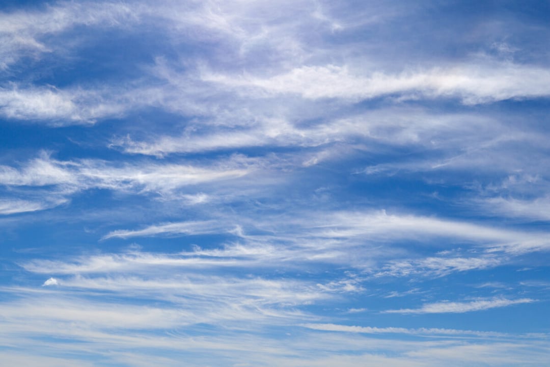 Czy podatek węglowy działa? Poznaliśmy odpowiedź na kontrowersyjne pytanie