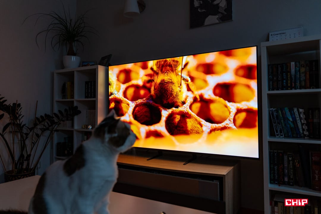 Test Samsung OLED S90C – inny wymiar telewizora