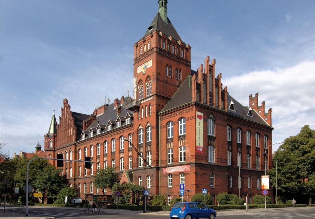 Polacy nakarmili polimerowego boa dusiciela. Prawdziwa innowacja w rękach rodaków