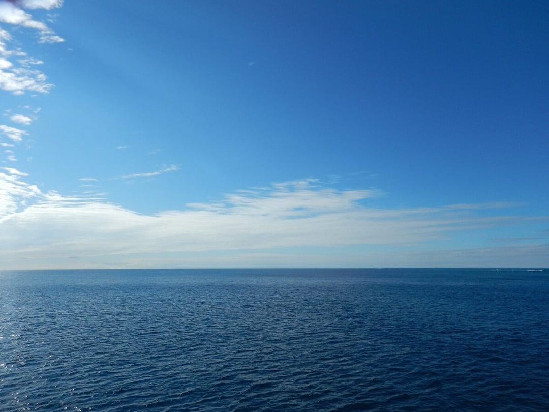 Dziwna struktura ukryta w oceanie. Znajduje się tam od milionów lat i wciąż rośnie