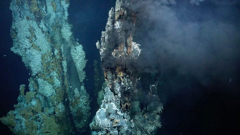 Dno oceanu rozrywa się na naszych oczach. Dwa tysiące wstrząsów sejsmicznych w jeden dzień