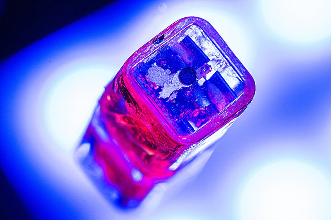 Oto najmniejszy wszczepialny stymulator mózgu. Neuralink może się schować!