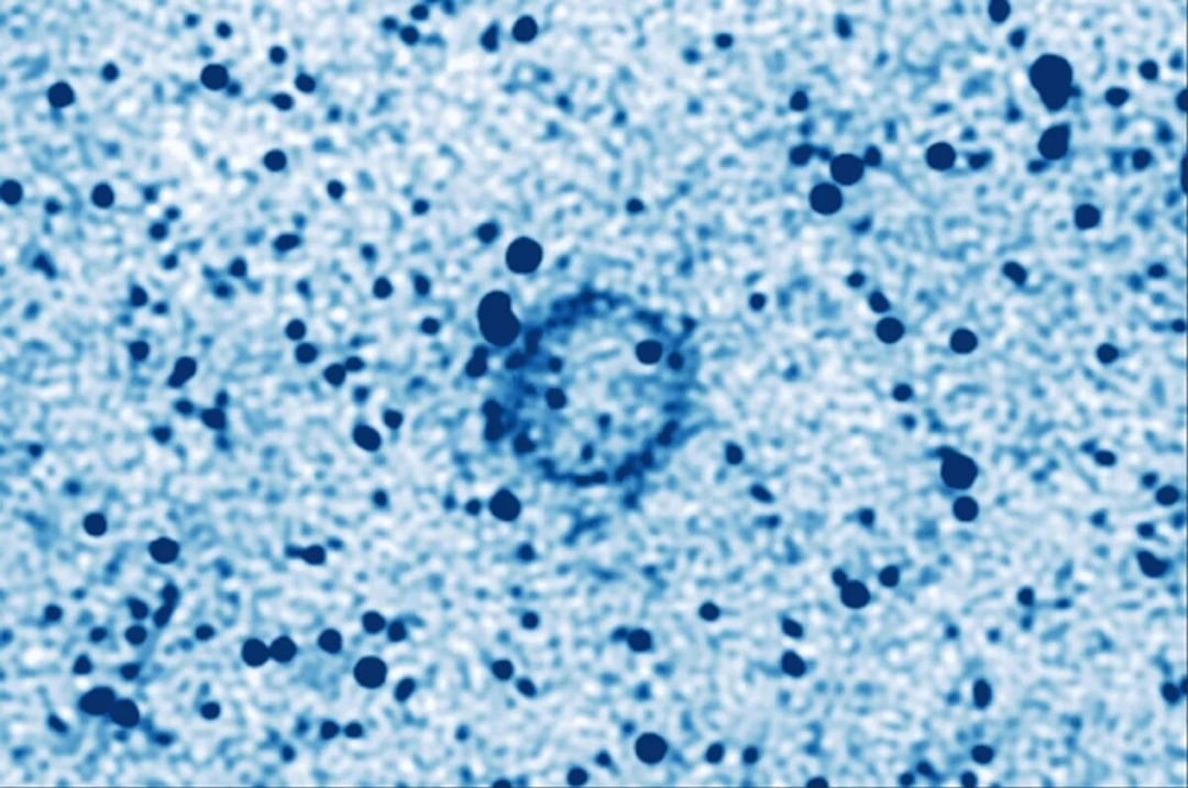 Ten pierścień radiowy nie pasuje do znanych obiektów. Astronomowie odkryli go w centrum naszej galaktyki