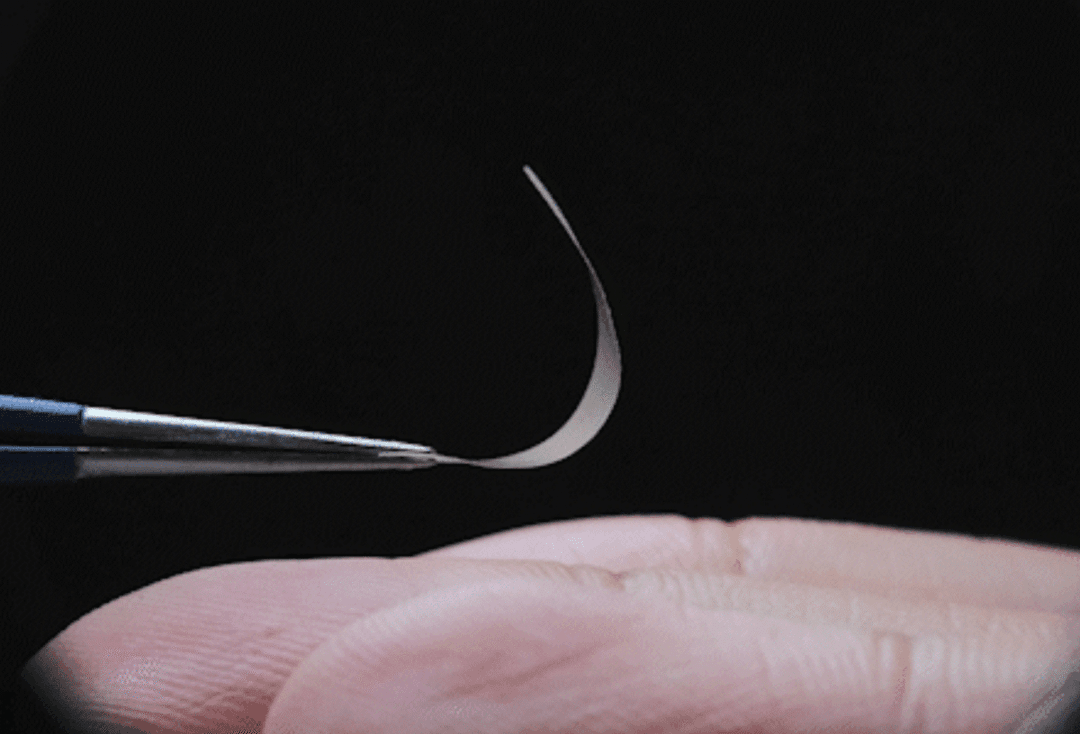 Natura stworzyła lepszy plastik. Naukowcy odkryli coś niesamowitego