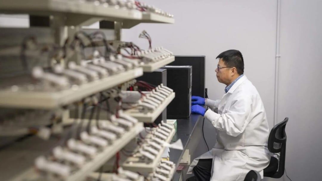 Akumulatory zyskują drugie życie. Ta technologia osiąga genialną skuteczność