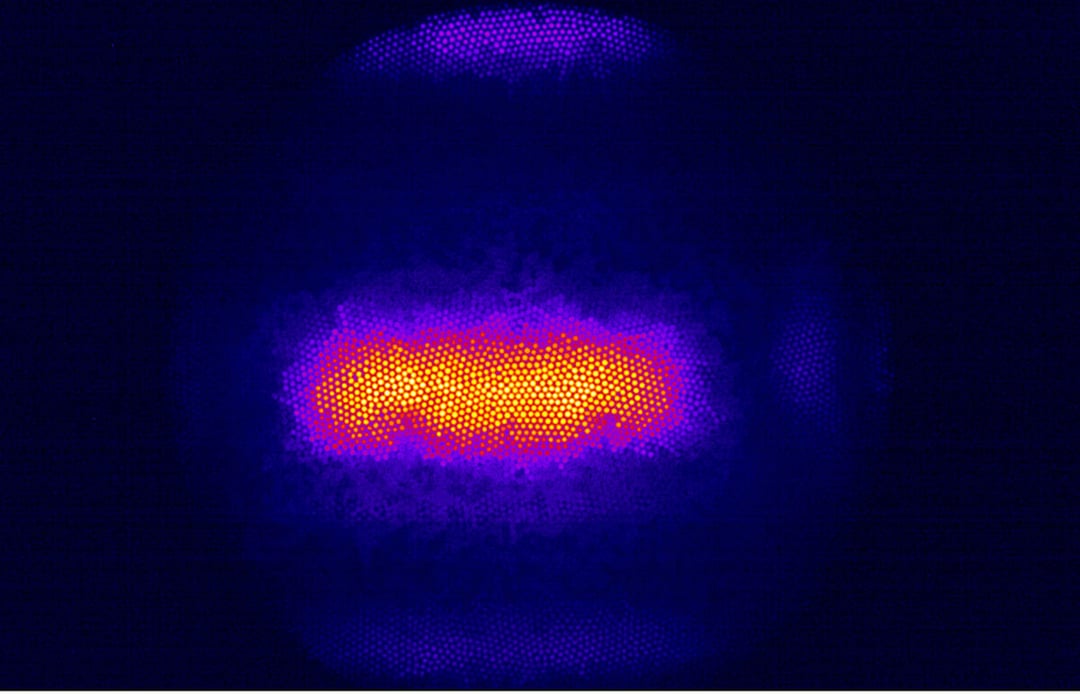 Fizyk przeżył uderzenie wiązki protonów w głowę. Naukowcy rekonstruowali jego eksperyment
