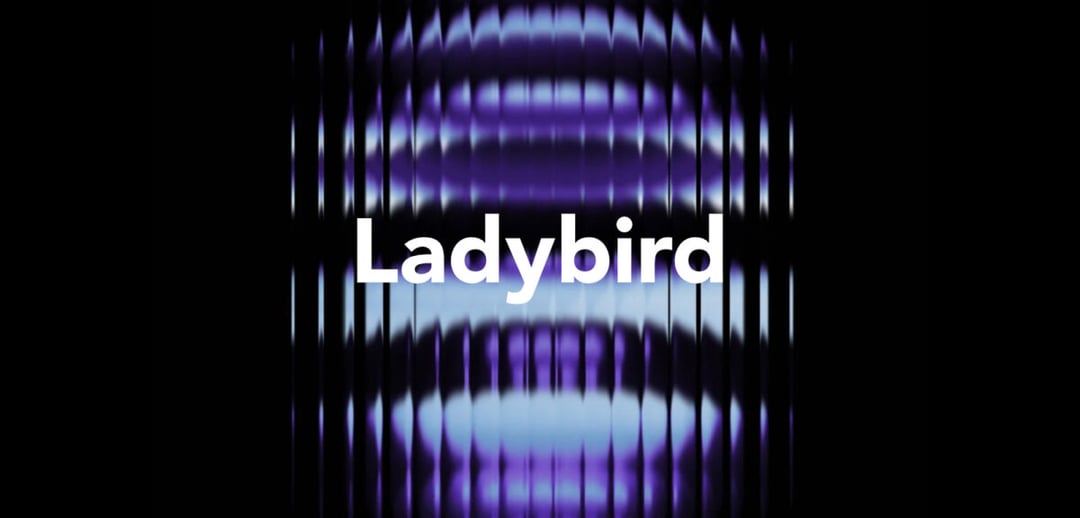 Ladybird. Przeglądarka internetowa, której nikt nie chciał, a której wszyscy potrzebujemy