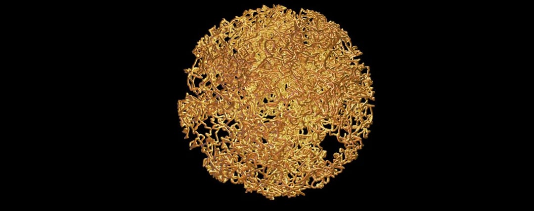 Uniwersalny przycisk zmienia fizykę kwantową. Naukowcy czynią cuda jednym ruchem