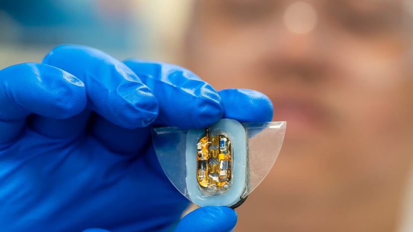 Inżynierowie skopiowali płaszczkę i stworzyli coś niesamowitego. Ten miękki robot ma wbudowaną inteligencję