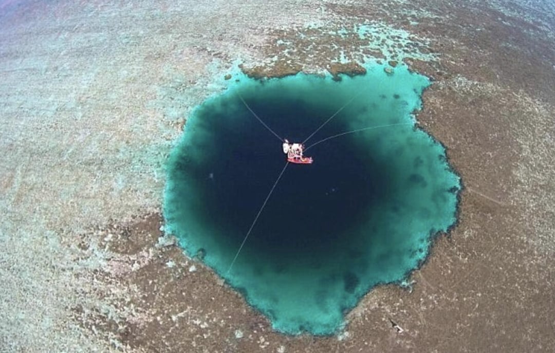 Smocza Dziura w Morzu Południowochińskim. Naukowcy odkrywają nieznane formy życia