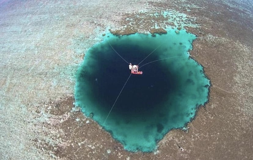 Smocza Dziura w Morzu Południowochińskim. Naukowcy odkrywają nieznane formy życia