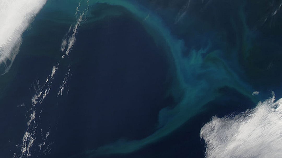 Oceaniczna anomalia nasila się zimą. Odczyty z Hawajów wskazują na skokowy wzrost stężenia żelaza