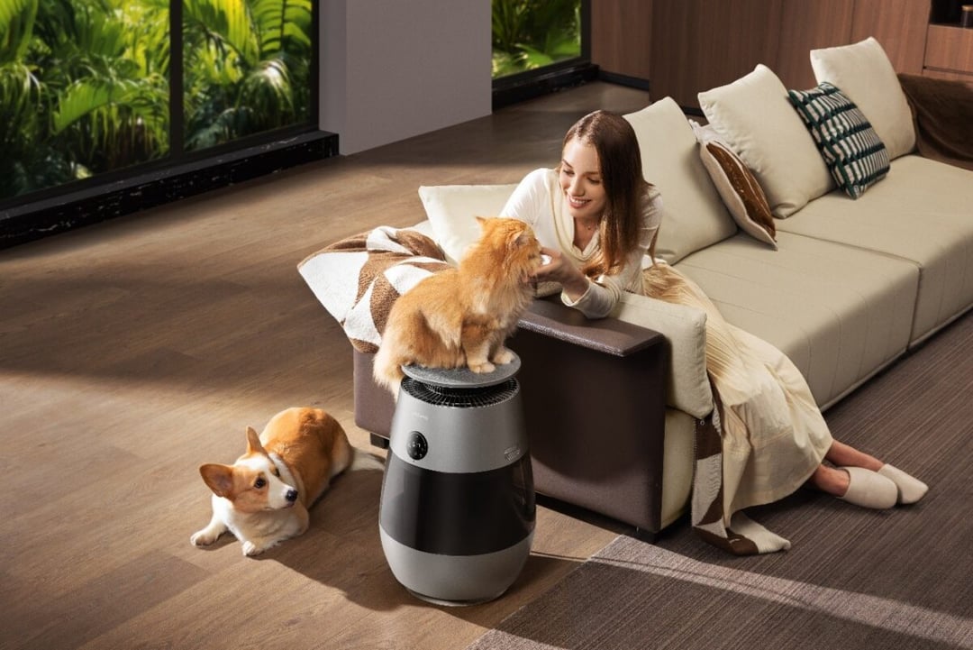 Smog wchodzi do domu mimo zamkniętych okien? Dreame rozwiązuje ten problem