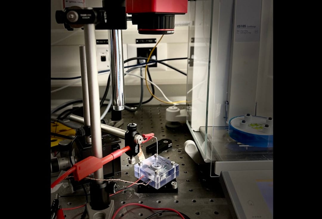 Parowanie jeszcze nigdy nie było tak elektryzujące. Oto przełomowy sposób pozyskiwania energii!