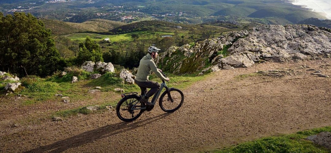 Rower, który patrzy za rowerzystę. Co Giant wsadził do swoich nowych AnyTour?