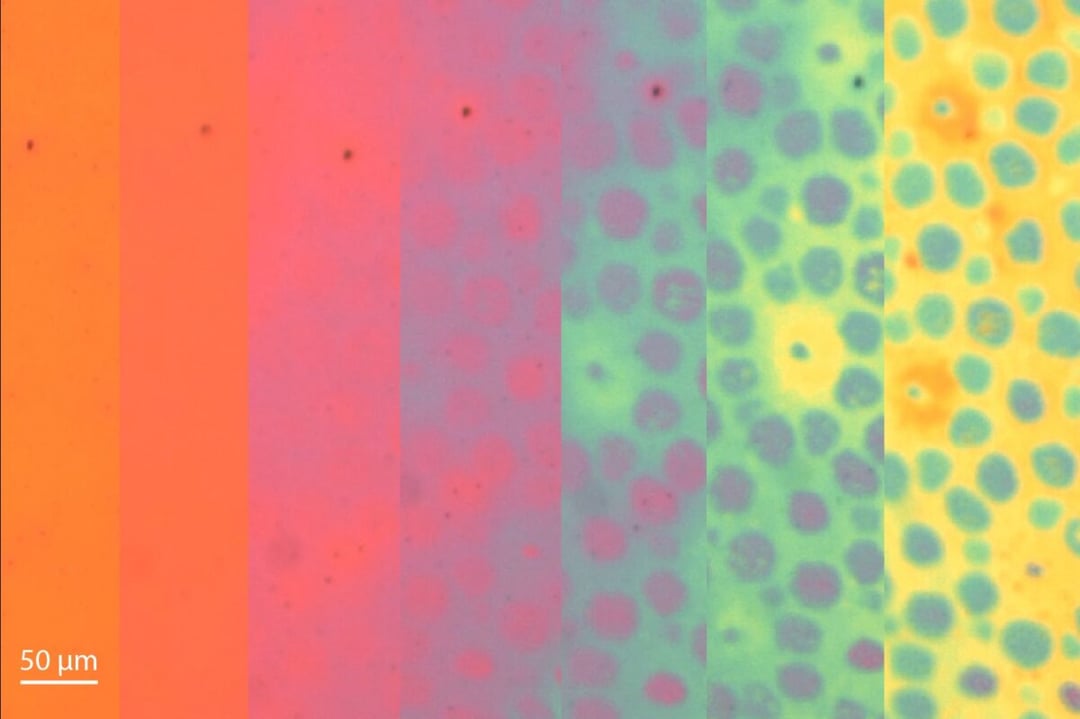 Futurystyczny materiał zachowuje się tak, jakby nie stworzył go człowiek. Może zmieniać kolor i teksturę