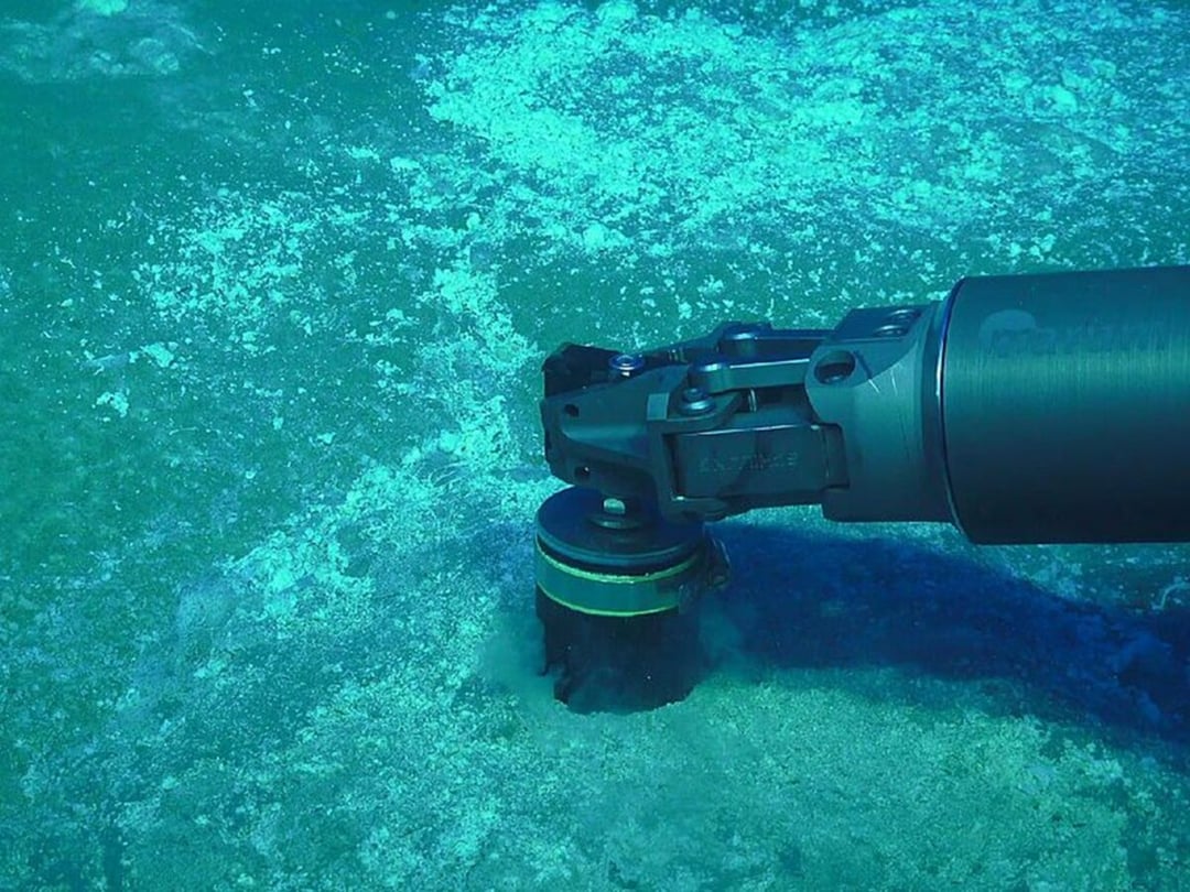 Mikroorganizmy kształtują dno oceanów. Ich prawdziwa rola jest niesamowita 