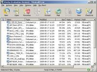 WinZip 12.0