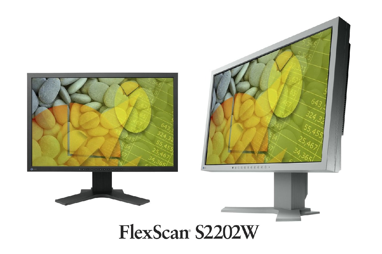 Eizo FlexScan S2202W