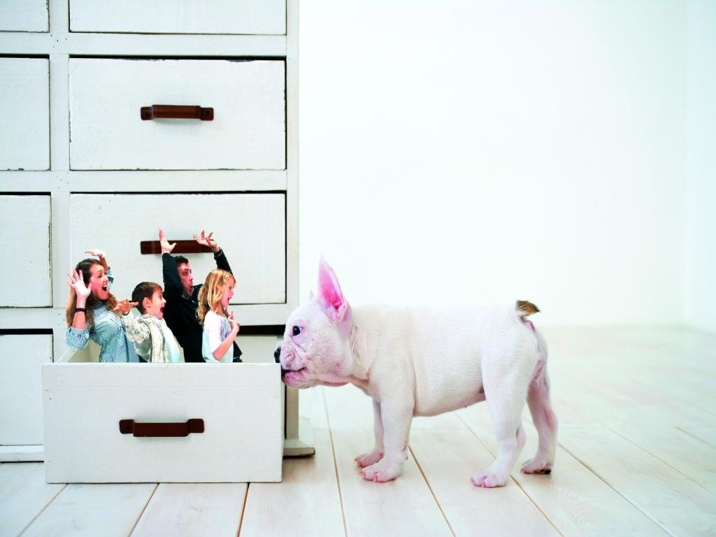 Fotomontaże, jakie można wykonać za pomocą tych funkcji, wyglądają efektownie