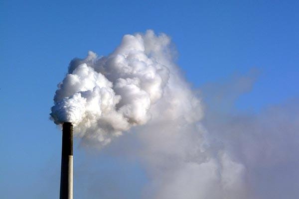 Partnerstwo pomiędzy WWF Sweden oraz firmą Ericsson zbudowane jest na siedmiu latach współpracy