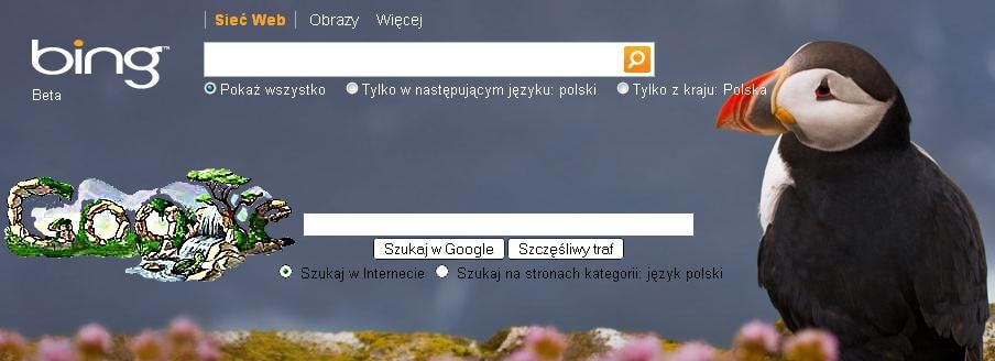 Google i Bing - główni konkurenci na rynku wyszukiwarek internetowych