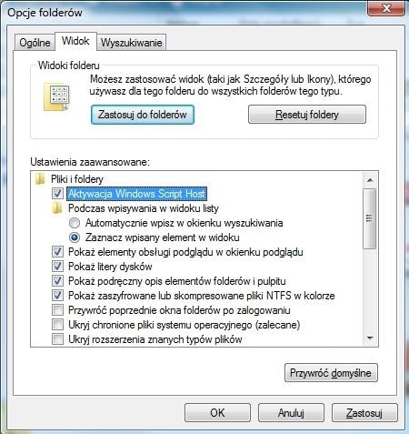 Wskazane zaznaczenie aktywuje Windows Script Host, gdy tylko jest to potrzebne.