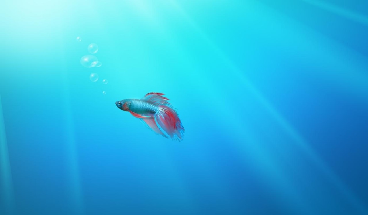 Tryb XP: Nasze stare programy bez problemu uruchomimy w Windows 7 za pośrednictwem Paska zadań Windows XP.