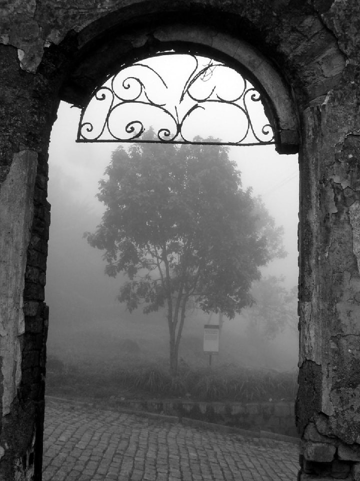 Mgła działa jak filtr rozpraszający i zmiękcza ostre światło, co oddaje niepokojący nastrój po deszczu.