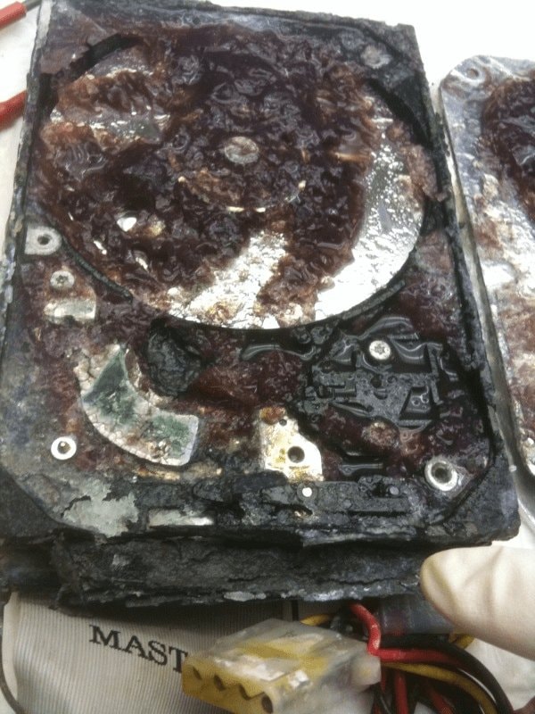 Najbardziej zaskakujące przypadki utraty danych w 2009 roku