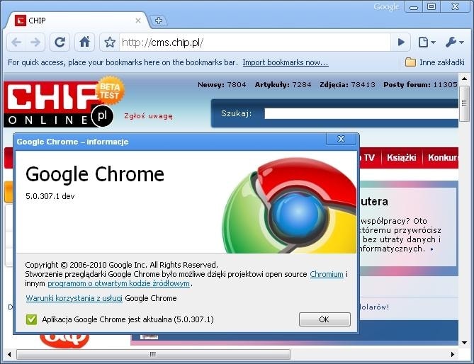 Znajdź lukę, to Google ci zapłaci