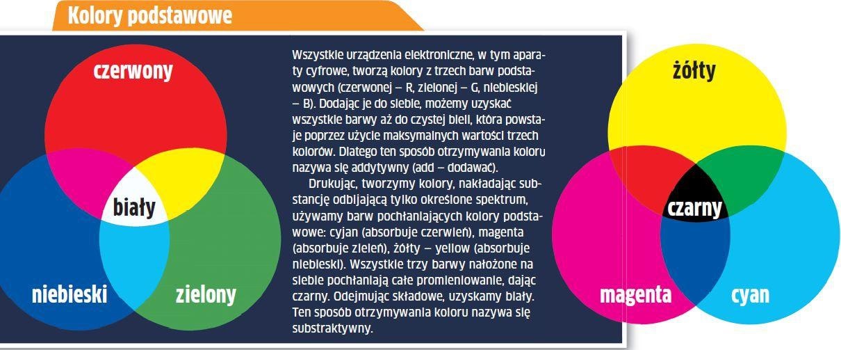 Kolorowy świat