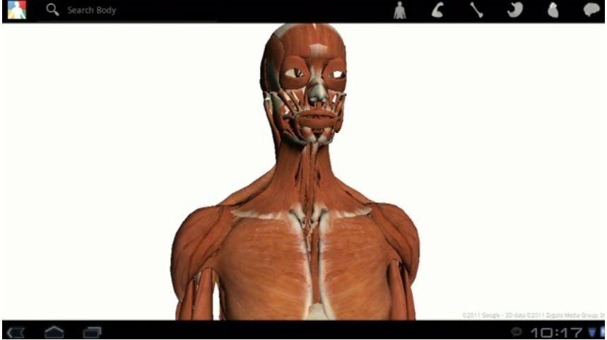 Aplikacja Google Body pokazuje trójwymiarowe możliwości Androida 3.0