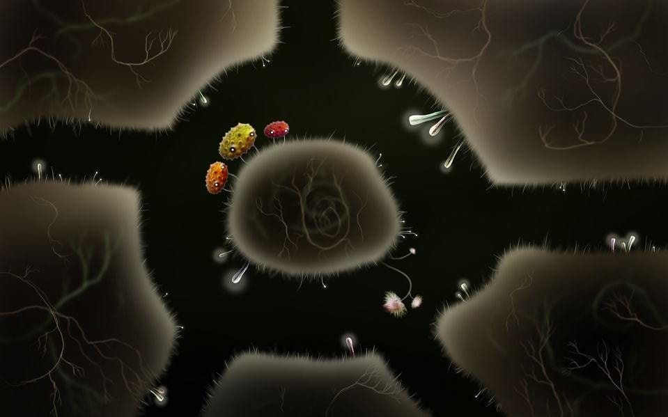 Botanicula – najnowszy tytuł twórców Machinarium i Samorost