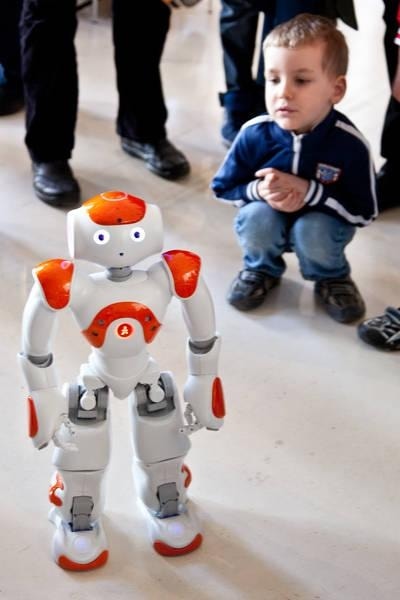 Polskie roboty podbijają Wiedeń