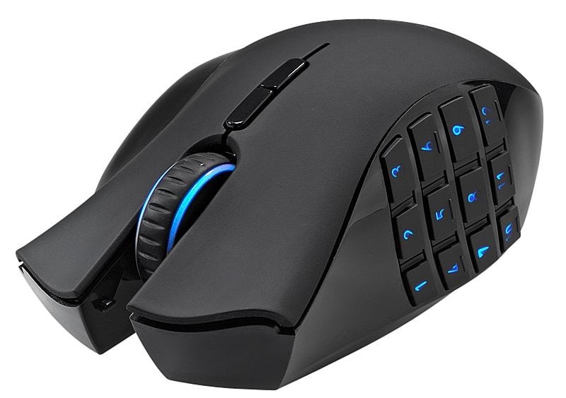 Naga – marzenie gracza MMO